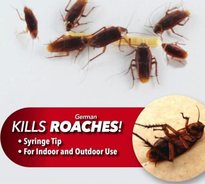 Cockroach-Killing Glue Bait Syringe
